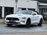 Ford Mustang occasion année 2019 boite Automatique Annonce Ford Mustang occasion Essence 2.3 EcoBoost 317 BVA à L'Union