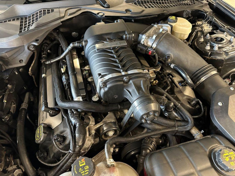 Ford Mustang 5.0 421 BVA  occasion  L'Union - photo n15