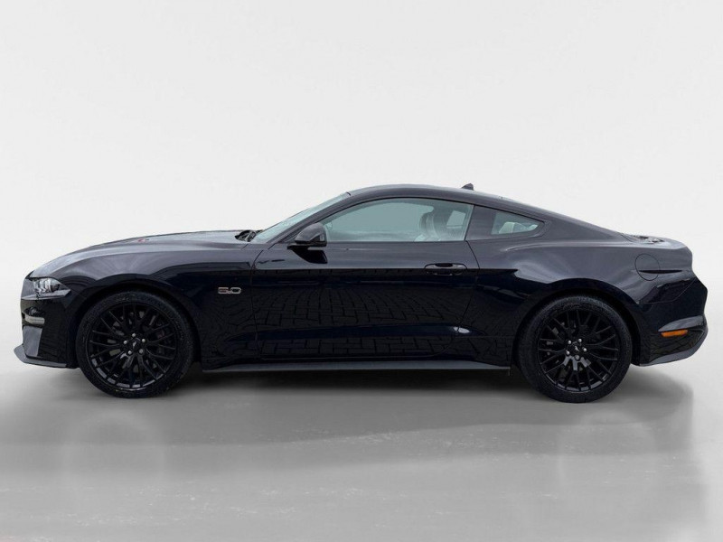 Ford Mustang 5.0 450ch BVA  occasion � L'Union - photo n�3