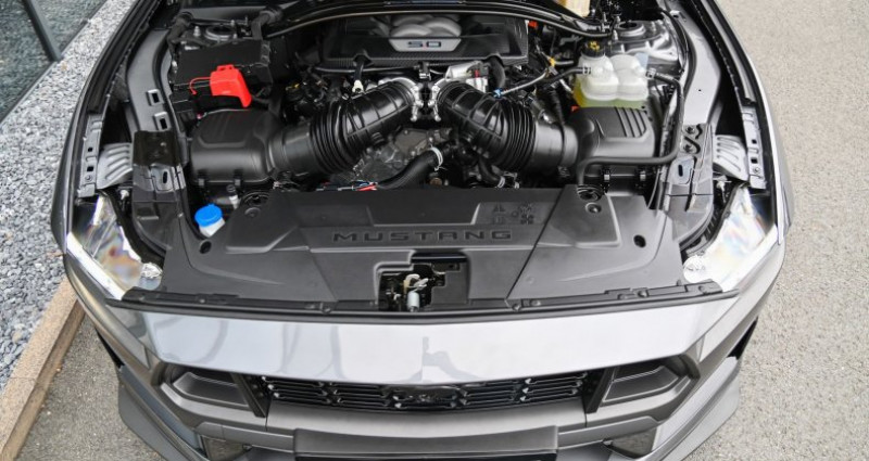 Ford Mustang 5.0 V8 334 Dark Horse MagneRide  occasion  Meschede - photo n7