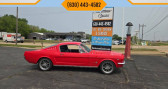 Ford Mustang Custom Fastback   LYON 69
