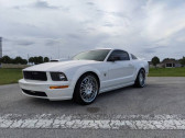 Ford Mustang GT  Blanc  Orgeval 78