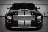 Ford Mustang GT 4,6 SHELBY ATMO V8 NUMEROTEE GUARQANTIE FORD SHELBY D'ORI   Orgeval 78