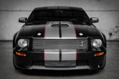 Ford Mustang occasion année 2007 boite Manuelle Annonce Ford Mustang occasion Essence GT 4,6 SHELBY ATMO V8 NUMEROTEE GUARQANTIE FORD SHELBY D'ORI à Orgeval