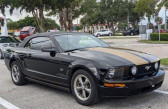 Ford Mustang occasion année 2005 boite Automatique Annonce Ford Mustang occasion Essence GT cabriolet premium V8 300cv CLONE HENNESSY à Orgeval