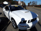 Annonce Ford Mustang occasion Essence GT V8 cabriolet  Orgeval