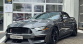 Annonce Ford Mustang occasion Essence gt v8 tout compris hors homologation 4500e � Paris
