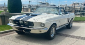 Annonce Ford Mustang occasion Essence gt350  LYON