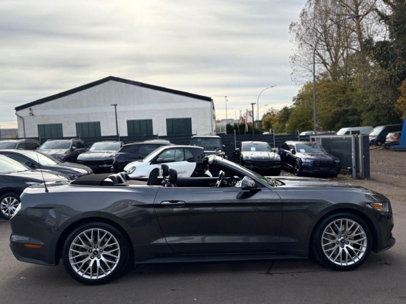 Ford Mustang MUSTANG CONVERTIBLE*AUT*EU VERSION*PERFORMANCE*  occasion  L'Union - photo n15