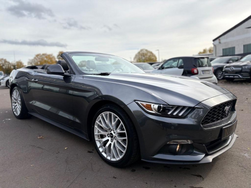 Ford Mustang MUSTANG CONVERTIBLE*AUT*EU VERSION*PERFORMANCE*  occasion  L'Union - photo n7