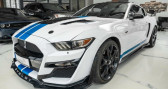 Annonce Ford Mustang occasion Essence pack gpl tout compris hors homologation 4500e � Paris