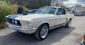 Ford Mustang Shelby Gt350 Tribute Blanc  PUYRICARD 13