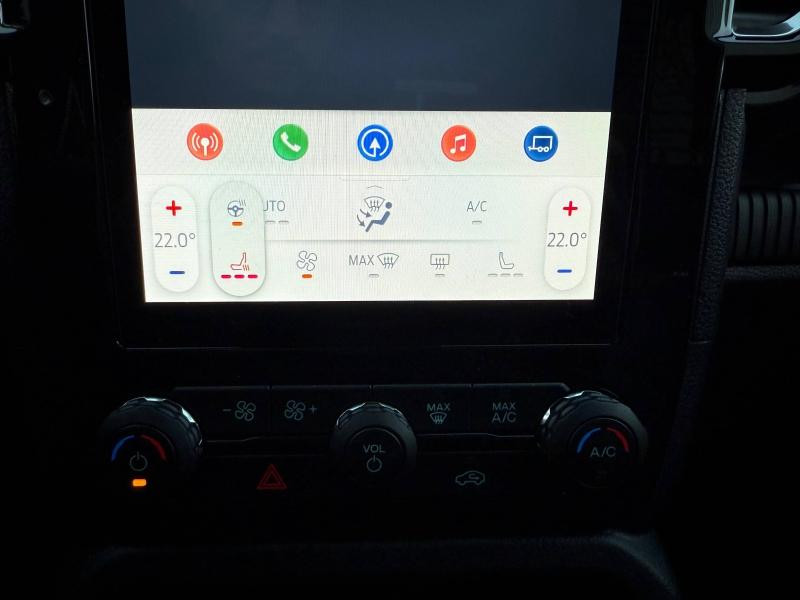 Ford Ranger 2.0 EcoBlue 205ch Stop&Start Double Cabine Limited e-4WD BVA  occasion  Dijon - photo n20