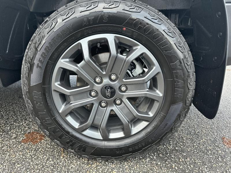 Ford Ranger 3.0 EcoBlue V6 240ch Stop&Start Double Cabine Wildtrak e-4WD  occasion à Cherbourg - photo n°9
