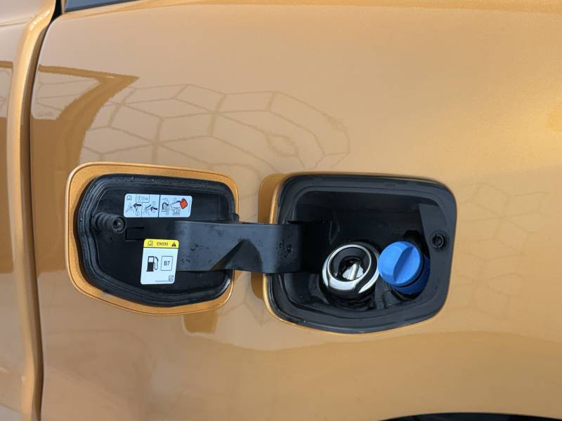 Ford Ranger SUPER CABINE 2.0 ECOBLUE 213 BV10 WILDTRACK WILDTRAK  occasion  Tarbes - photo n13