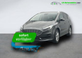 Annonce Ford S-max occasion Diesel S-MAX 2.0 EcoBlue 150  BVM  Beaupuy