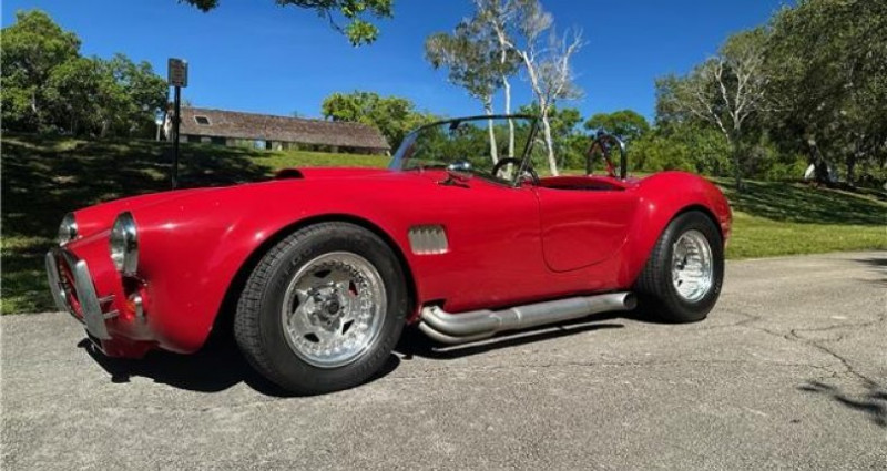 Ford Shelby GT500 Cobra Kit Car 1965 - photo n°7 Ford Shelby GT500 Cobra Kit Car  occasion à LYON - photo n°7