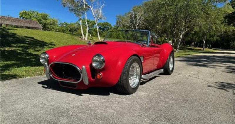 Ford Shelby GT500 Cobra Kit Car 1965 - photo n°6 Ford Shelby GT500 Cobra Kit Car  occasion à LYON - photo n°6