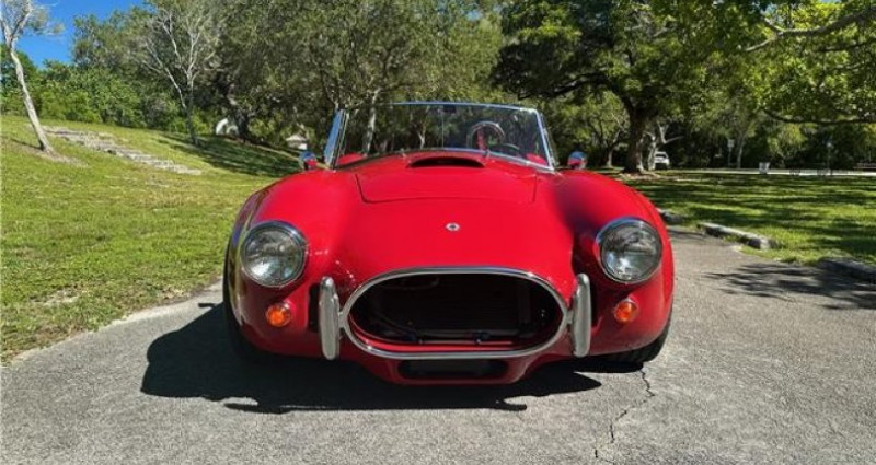 Ford Shelby GT500 Cobra Kit Car 1965 - photo n°5 Ford Shelby GT500 Cobra Kit Car  occasion à LYON - photo n°5