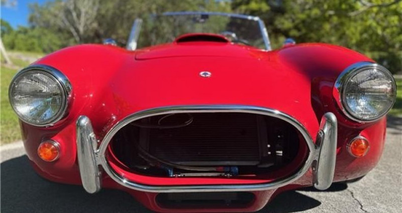 Ford Shelby GT500 Cobra Kit Car 1965 - photo n°4 Ford Shelby GT500 Cobra Kit Car  occasion à LYON - photo n°4