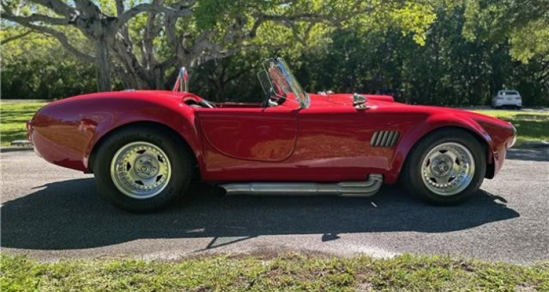 Ford Shelby GT500 Cobra Kit Car 1965 - photo n°3 Ford Shelby GT500 Cobra Kit Car  occasion à LYON - photo n°3