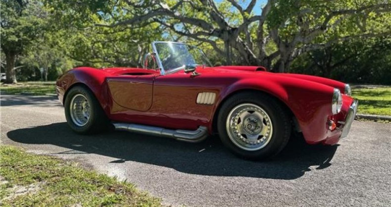 Ford Shelby GT500 Cobra Kit Car 1965 - photo n°2 Ford Shelby GT500 Cobra Kit Car  occasion à LYON - photo n°2