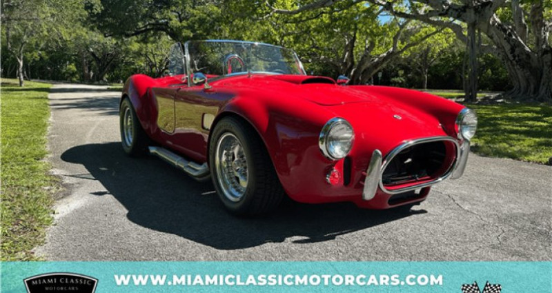 Ford Shelby GT500 Cobra Kit Car 1965 Ford Shelby GT500 Cobra Kit Car  occasion à LYON
