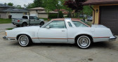 Annonce Ford Thunderbird occasion Essence   LYON