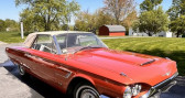 Ford Thunderbird    LYON 69