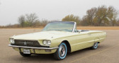 Ford Thunderbird   � LYON 69