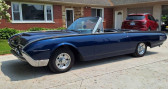Ford Thunderbird convertible   LYON 69