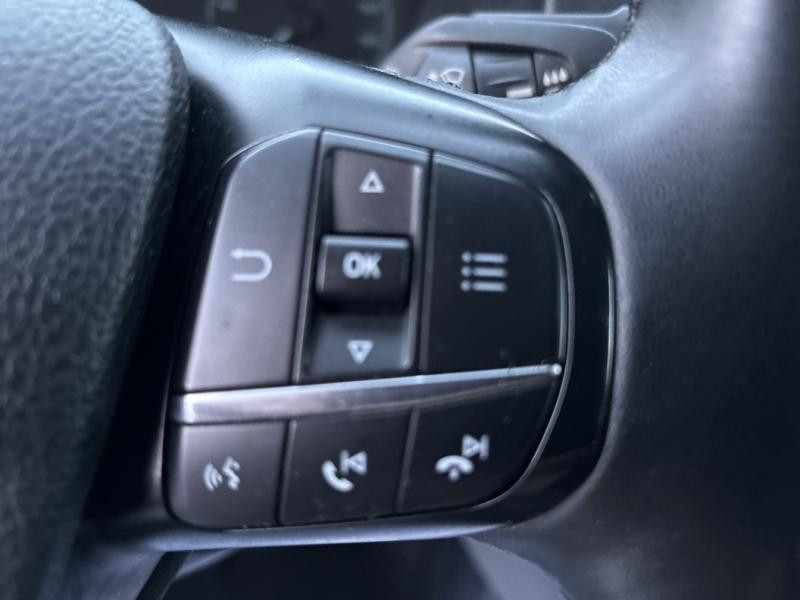 Ford Transit 320 L2H1 2.0 EcoBlue 170 Cabine Approfondie Limited 7cv  occasion � Barberey-Saint-Sulpice - photo n�18