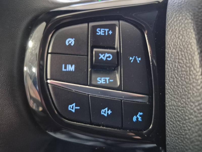 Ford Transit 320 L2H1 2.0 EcoBlue 170 ch Limited BVA8  occasion � Chaumont - photo n�19