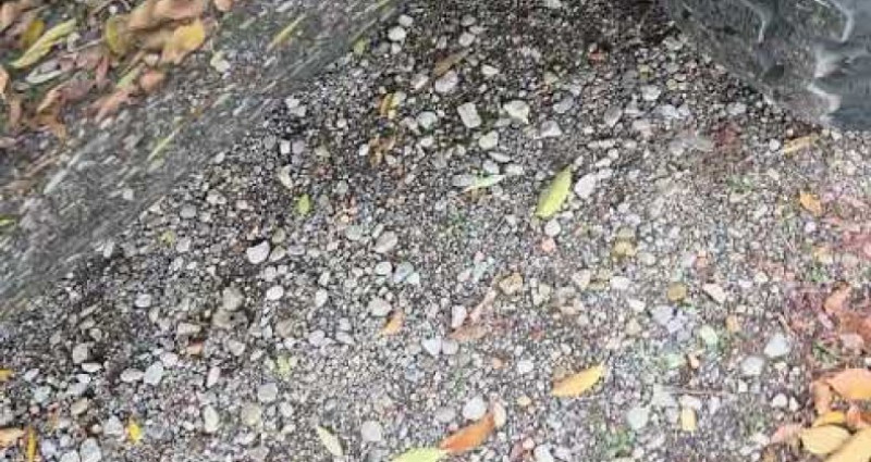 Gmc Sierra  1975 - photo n°2 Gmc Sierra   occasion à LYON - photo n°2