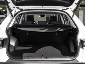 Hyundai Ioniq 73 kWh - 218 ch  occasion  Beaupuy - photo n5