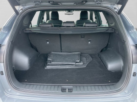 Hyundai Tucson 2.0 CRDi 185 hybrid 48V BVA  occasion  Beaupuy - photo n8
