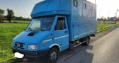 Iveco DAILY occasion année 1998 boite Manuelle Annonce Iveco DAILY occasion Diesel Ccb Classic 35.10 RJ 2.8m à RIGNIEUX LE FRANC