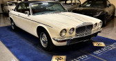 Jaguar Daimler occasion