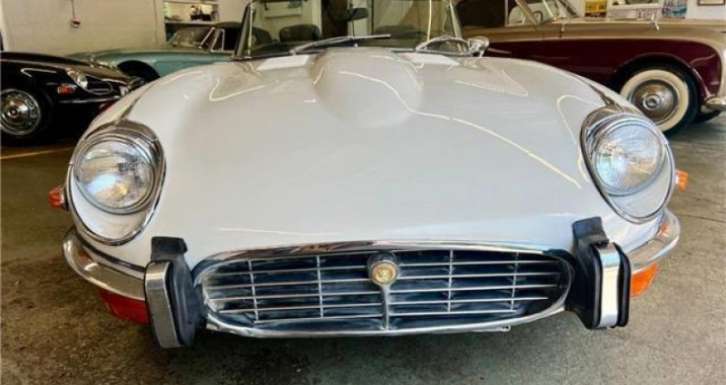 Jaguar E-Type Roadster  occasion  LYON