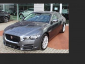 Jaguar XE occasion année 2016 boite Automatique Annonce Jaguar XE occasion Essence 2.0 240 Portfolio à Beaupuy