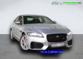 Annonce Jaguar XF occasion Essence 380 ch BVA  Beaupuy