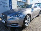 Jaguar XJ occasion année 2013 boite Automatique Annonce Jaguar XJ occasion Diesel 3.0D V6 Luxe Premium BVA8 à Auxerre
