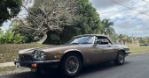 Jaguar XJS    LYON 69