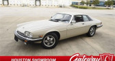 Annonce Jaguar XJS occasion Essence  � Le Havre