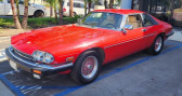 Annonce Jaguar XJS occasion Essence   LYON