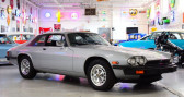 Annonce Jaguar XJS occasion Essence   LYON