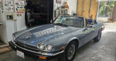 Annonce Jaguar XJS occasion Essence   LYON
