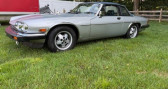 Annonce Jaguar XJS occasion Essence   LYON