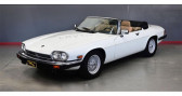 Annonce Jaguar XJS occasion Essence  � LYON
