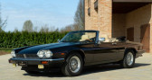 Annonce Jaguar XJS occasion Essence V12 CONVERTIBILE  Reggio Emilia